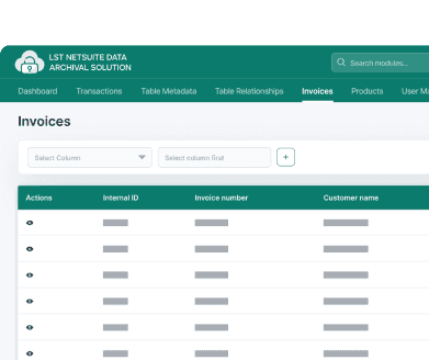 LST NetSuite Data Archival dashboard
