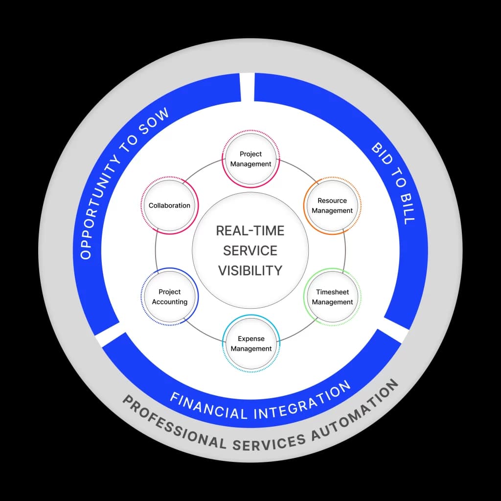 NetSuite Professional Services Automation